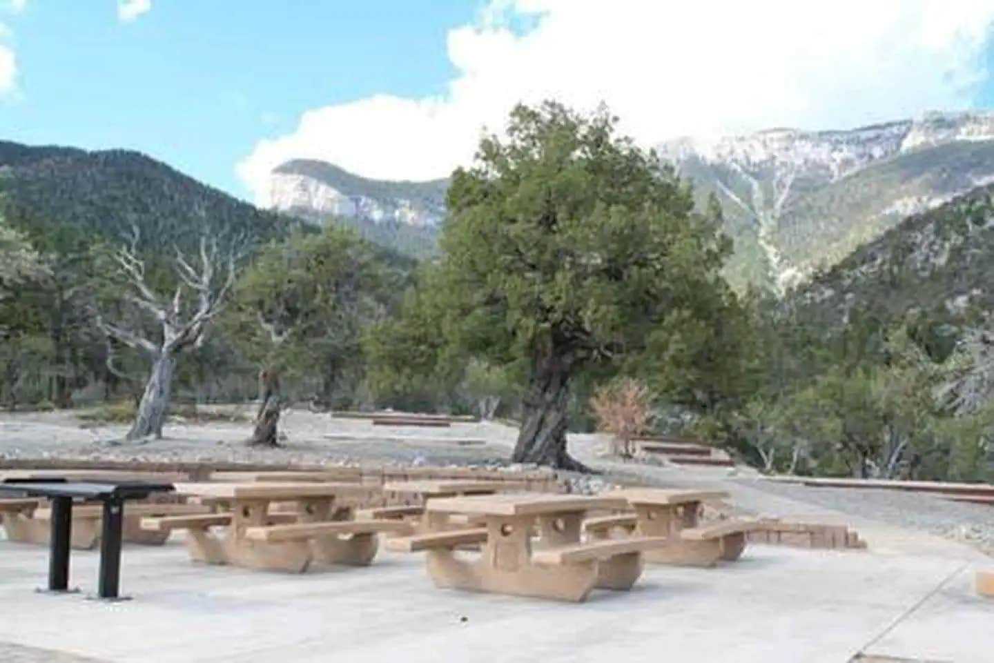 Camper submitted image from Mahogany Grove - 1