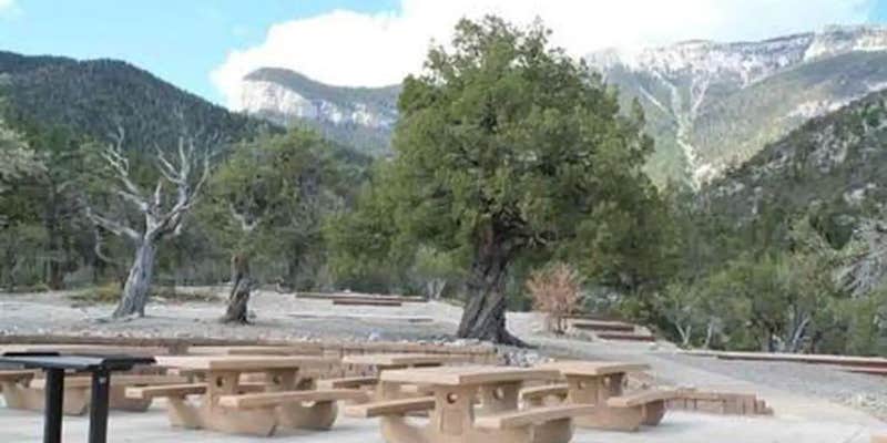 Camper submitted image from Mahogany Grove