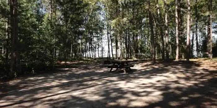 Camper submitted image from Wanaki Loop