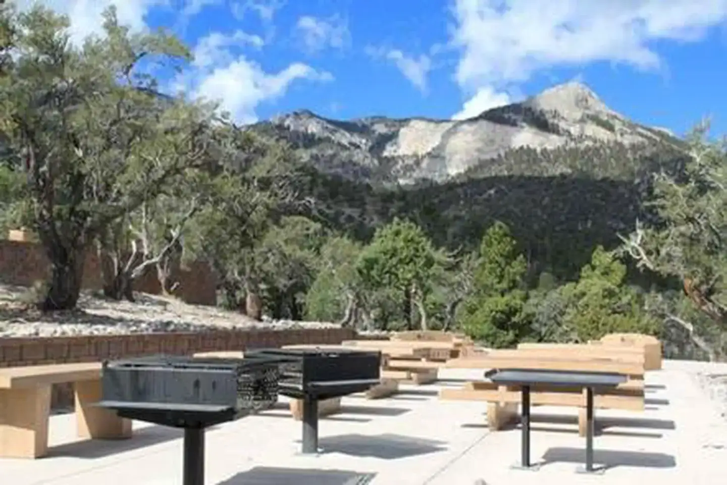 Camper-submitted photo at Mahogany Grove near Boulder City, NV