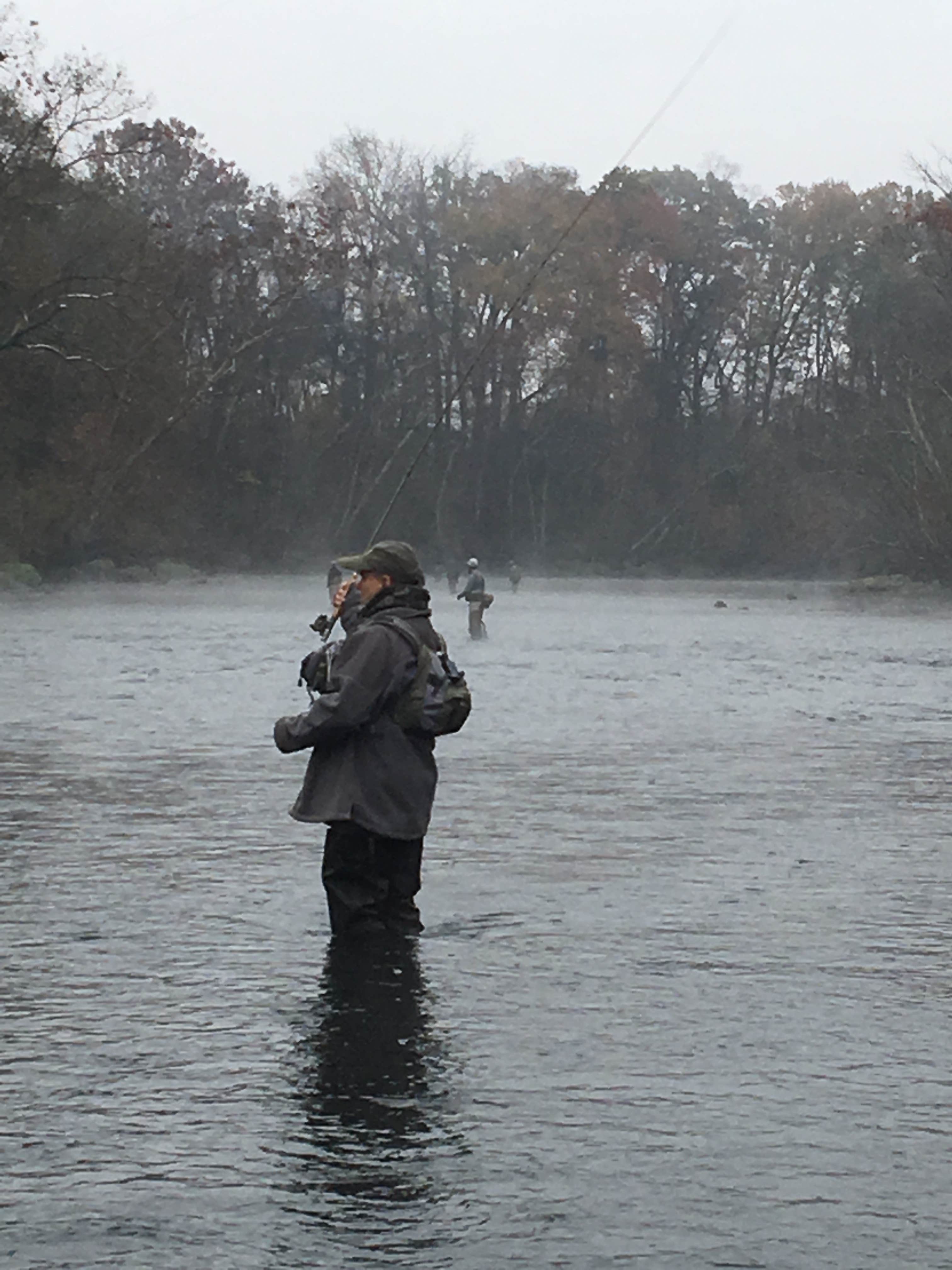 Camper submitted image from Red River Trout Dock - 4