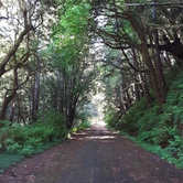 Review photo of Humbug Mountain State Park Campground by Ryan W., August 22, 2019