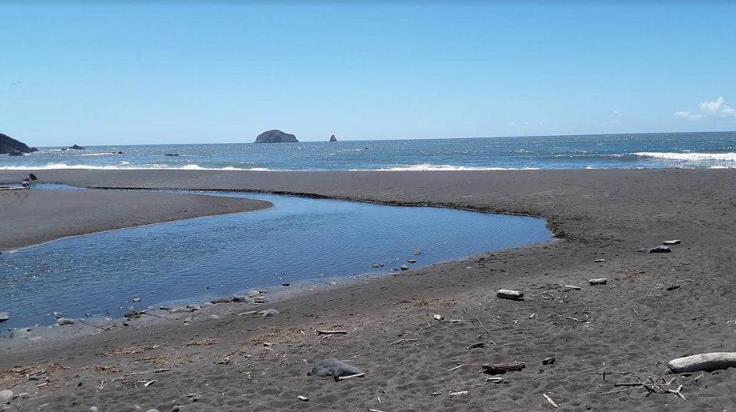 This river runs right along camp out to the ocean.