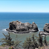Review photo of Harris Beach State Park Campground by Ryan W., August 22, 2019
