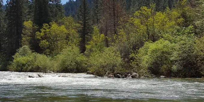 Camper submitted image from Carlton