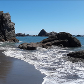 Review photo of Harris Beach State Park Campground by Ryan W., August 22, 2019