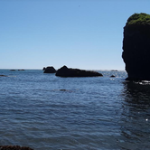Review photo of Harris Beach State Park Campground by Ryan W., August 22, 2019