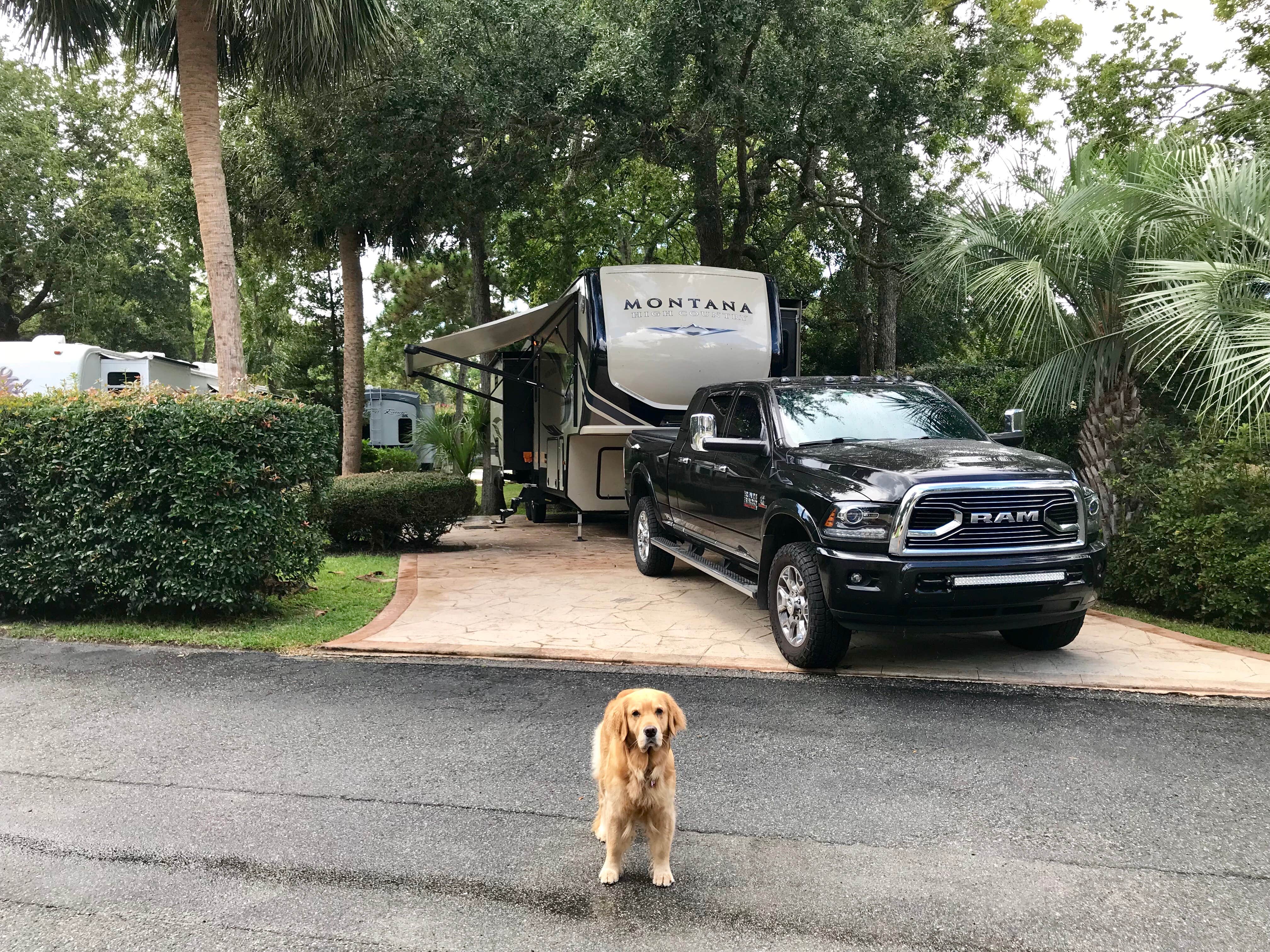 Ela S.'s photo of camping with pets at Hilton Head Harbor near Hardeeville, SC