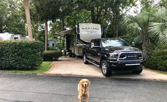 Ela S.'s photo of camping with pets at Hilton Head Harbor near Bluffton, SC
