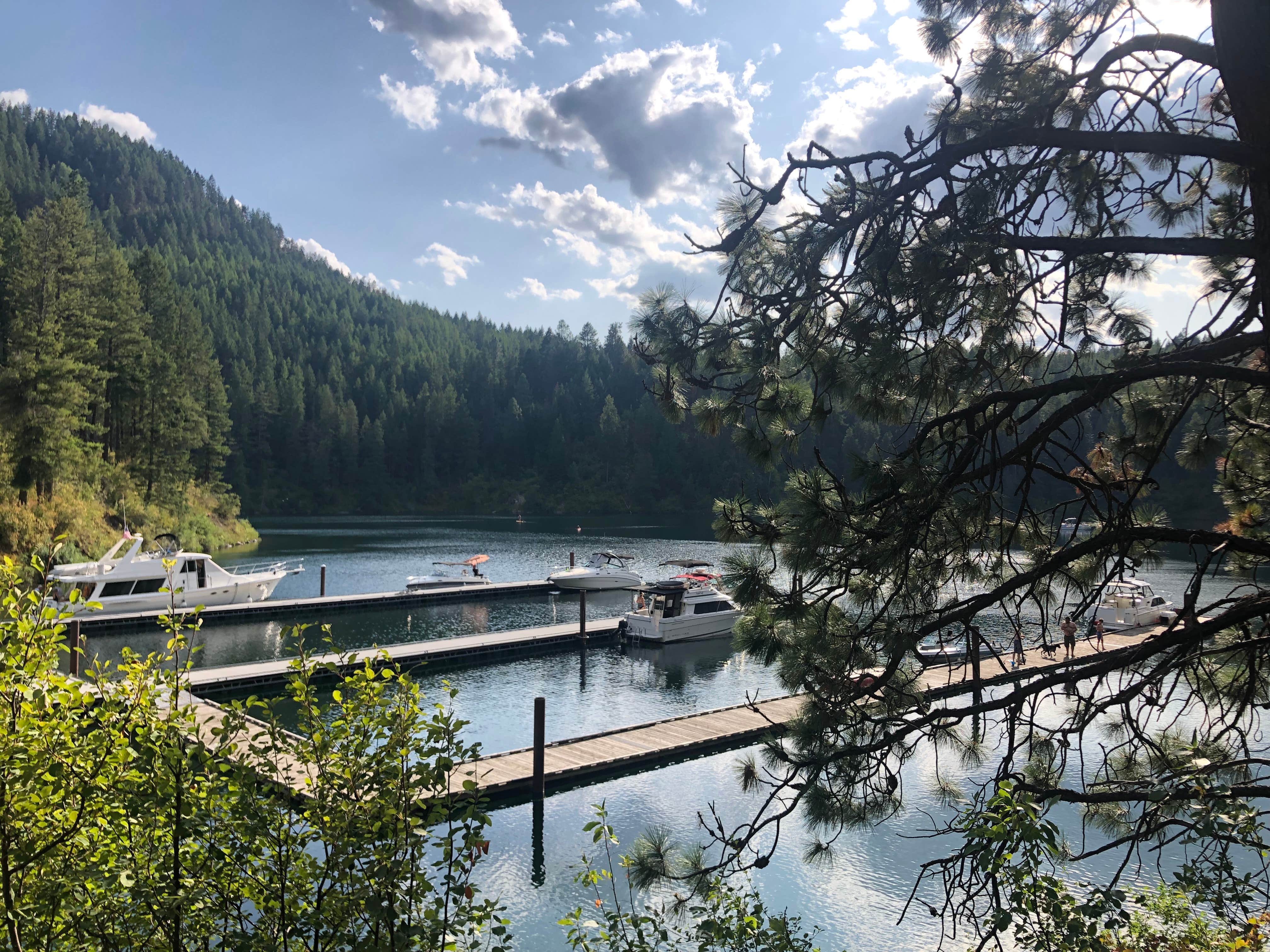 Camper submitted image from Whitetail Campground — Farragut State Park - 4