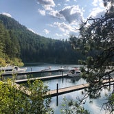 Review photo of Whitetail Campground — Farragut State Park by Tonya L., August 23, 2019