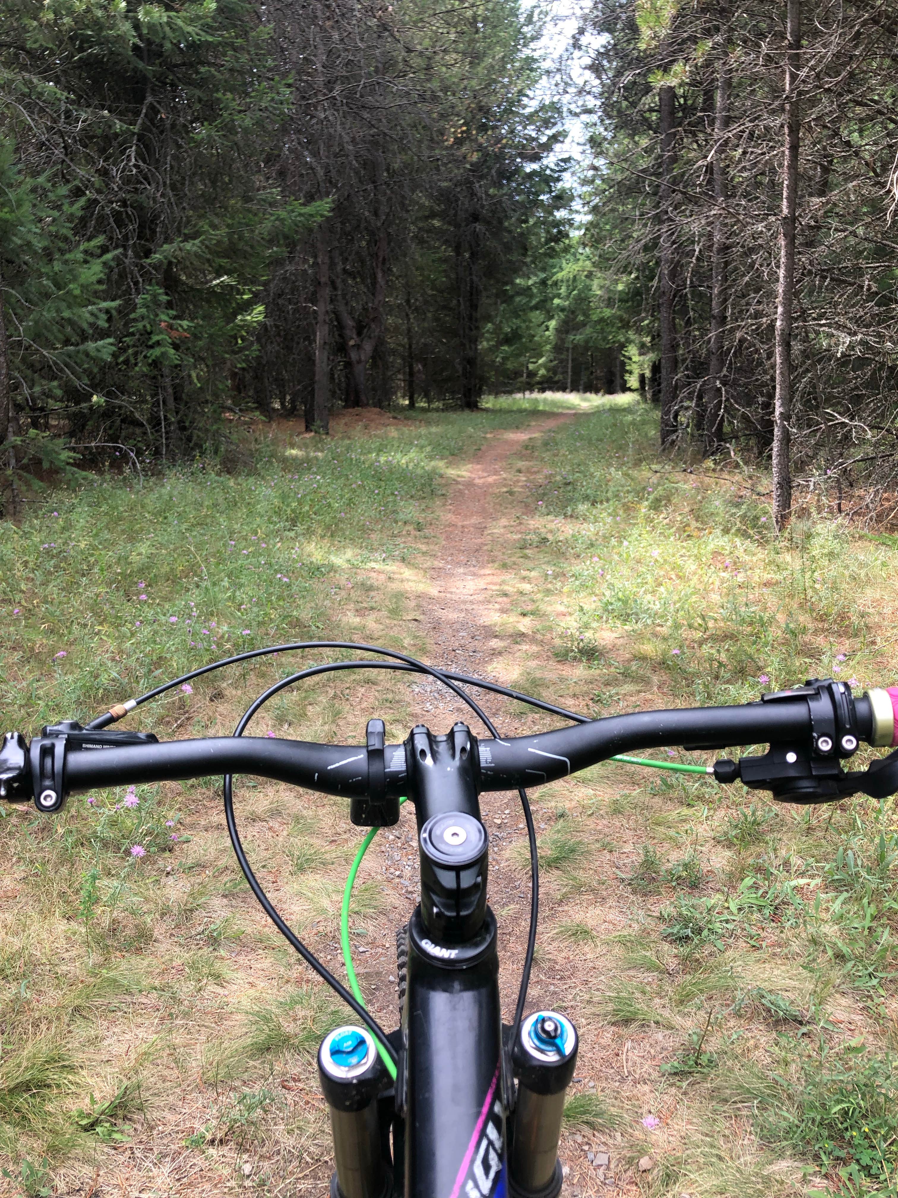 Camper-submitted photo at Whitetail Campground — Farragut State Park near Cocolalla, ID