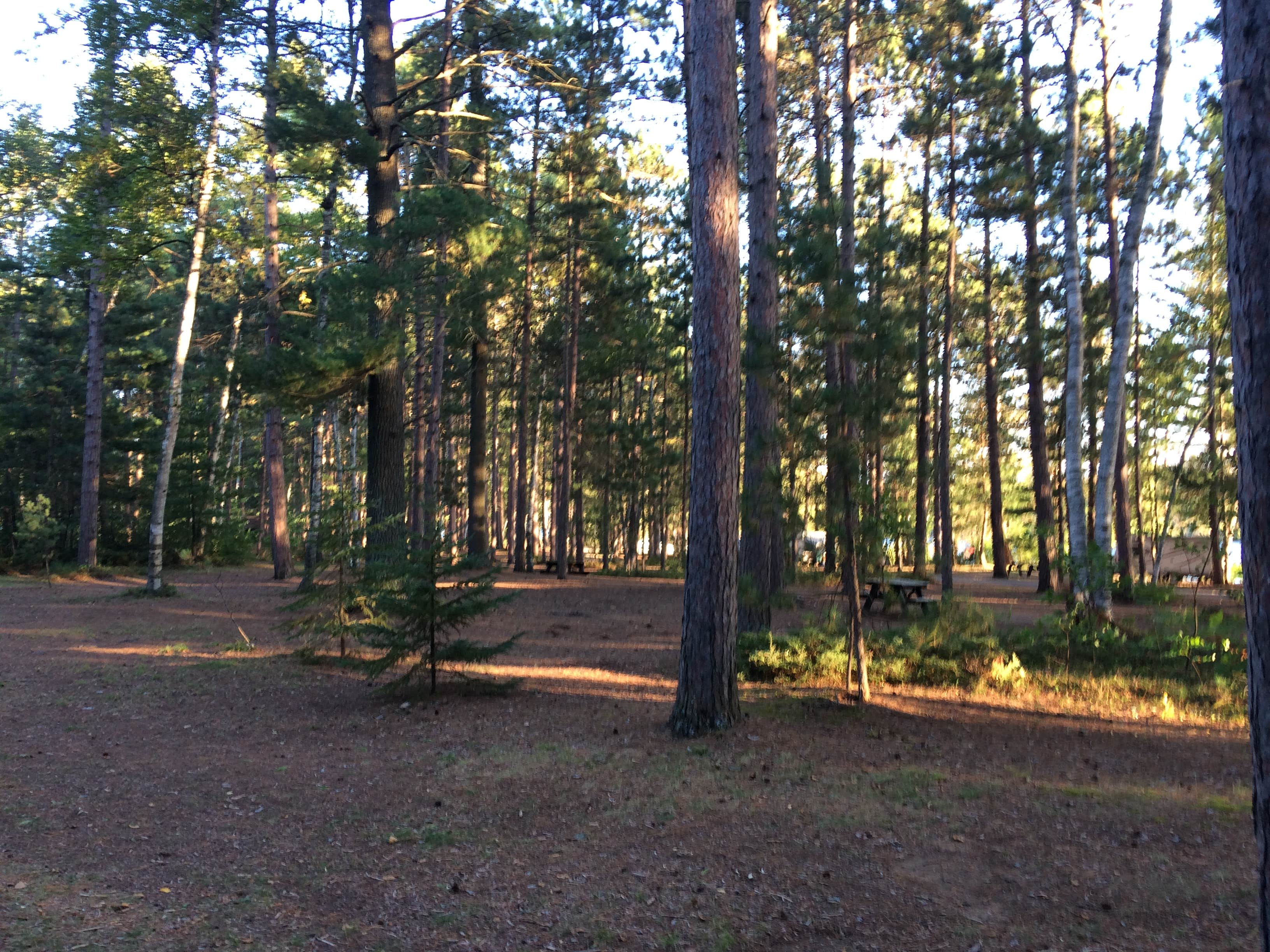 Camper submitted image from Fish Creek Pond Campground - 2