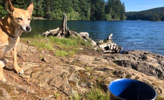 Tonya L.'s photo of camping with pets at Mountain Lake Campground — Moran State Park near Lummi Island, WA