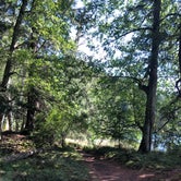 Review photo of Mountain Lake Campground — Moran State Park by Tonya L., August 23, 2019