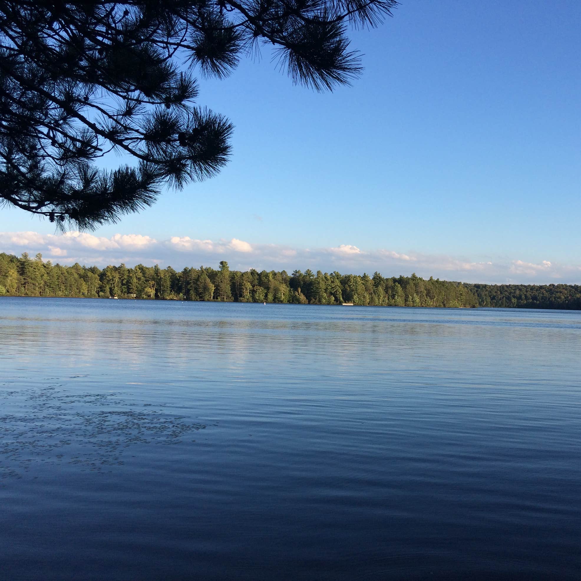 Fish Creek Pond Campground Camping | The Dyrt