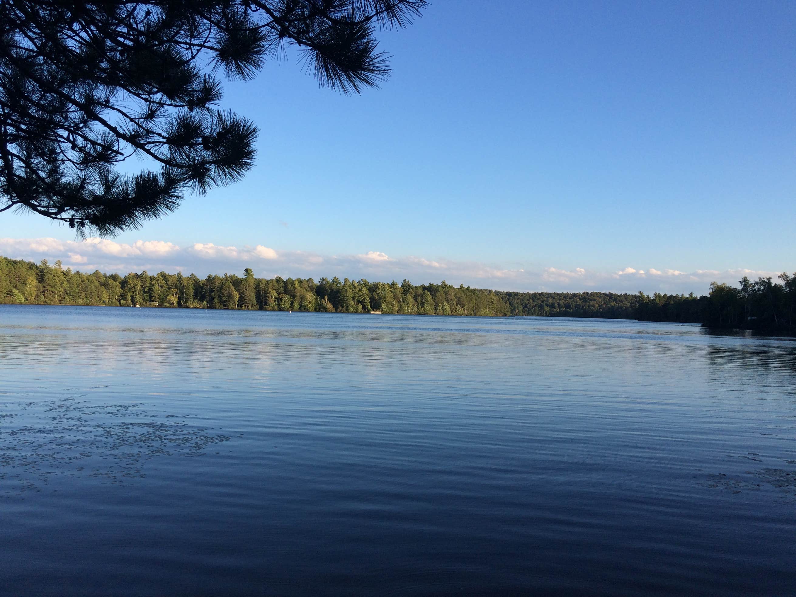 Fish Creek Pond Campground | The Dyrt