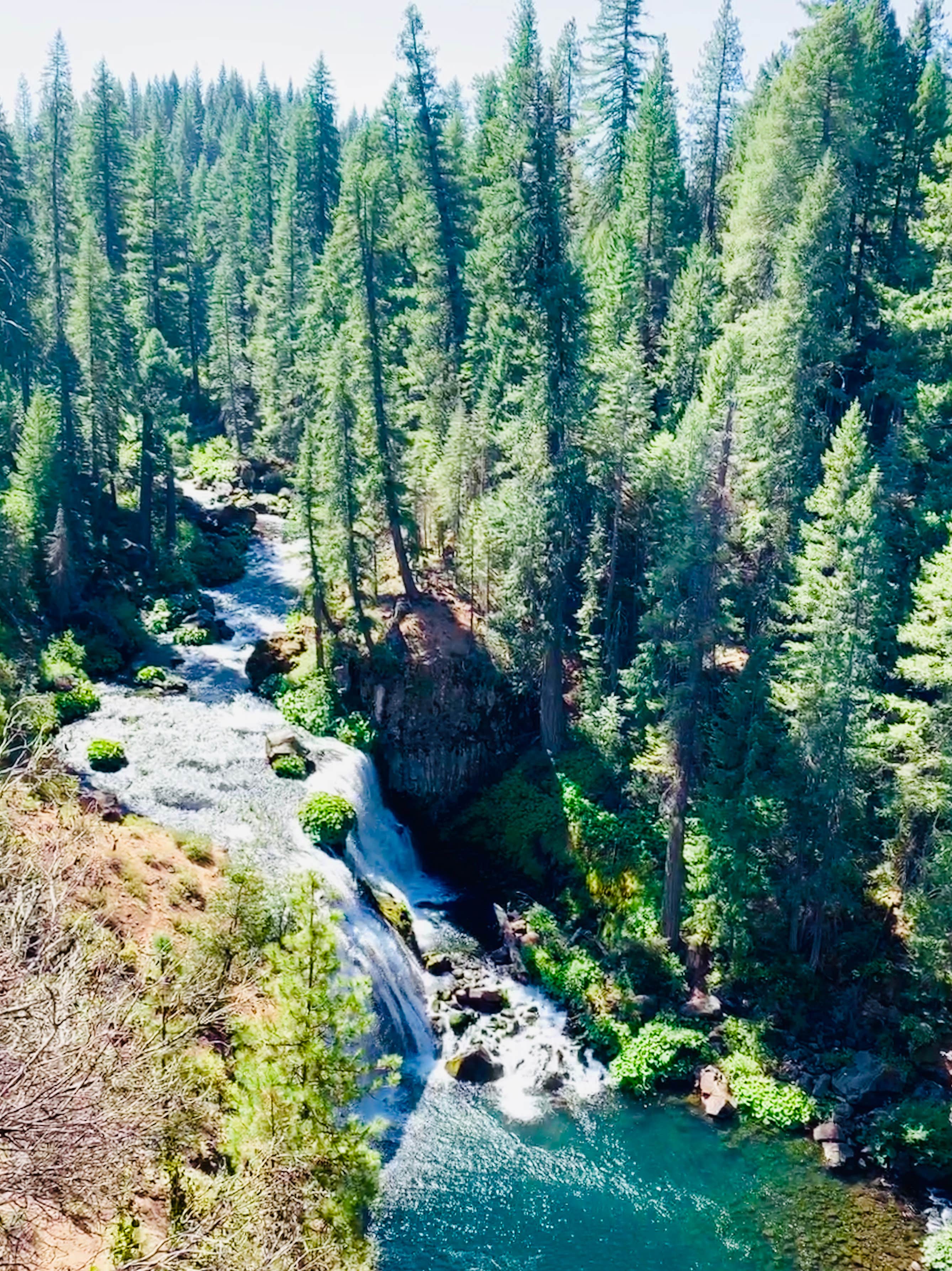 Camper submitted image from Cattle Camp Campground - 5