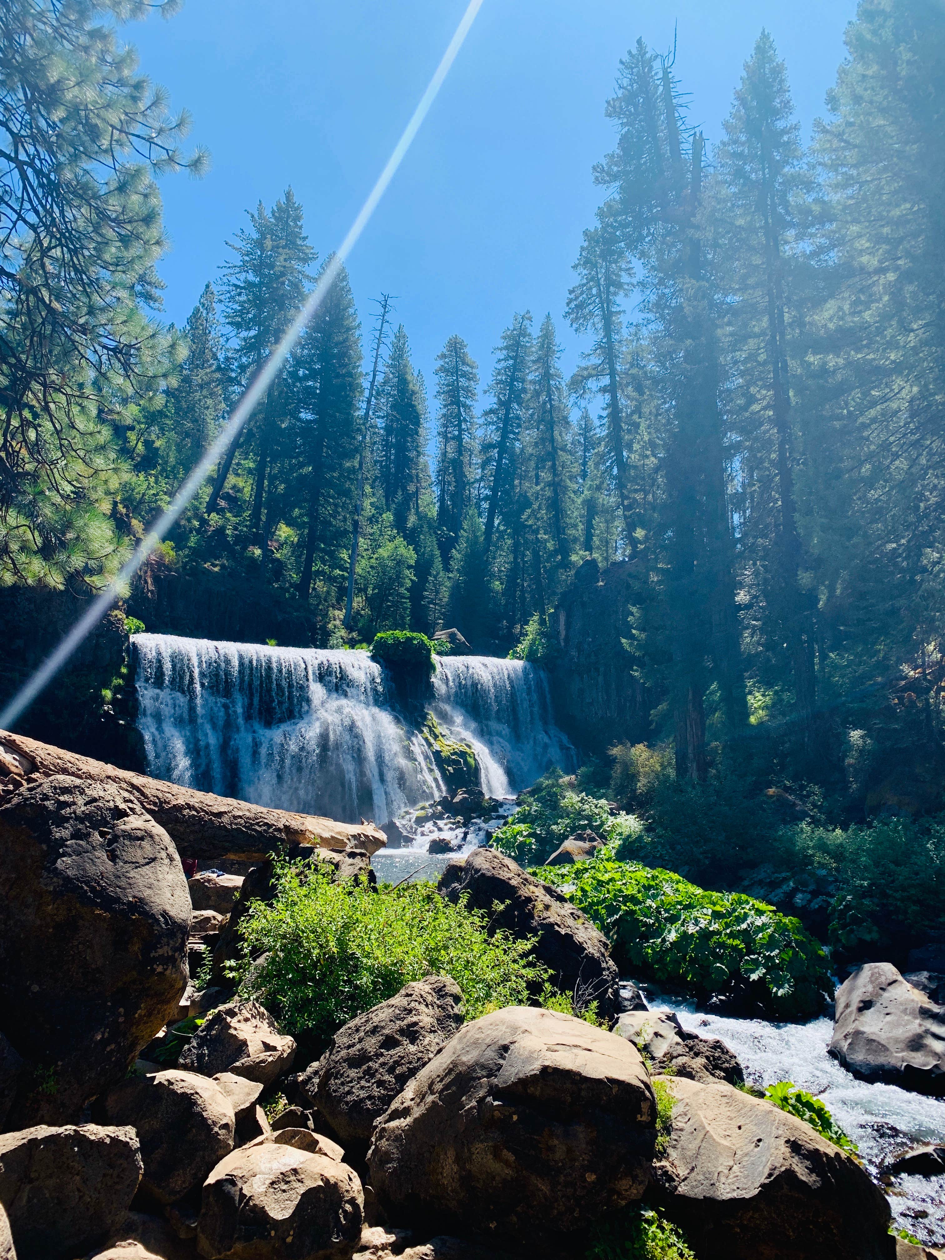 Camper-submitted photo at Cattle Camp Campground near Montague, CA