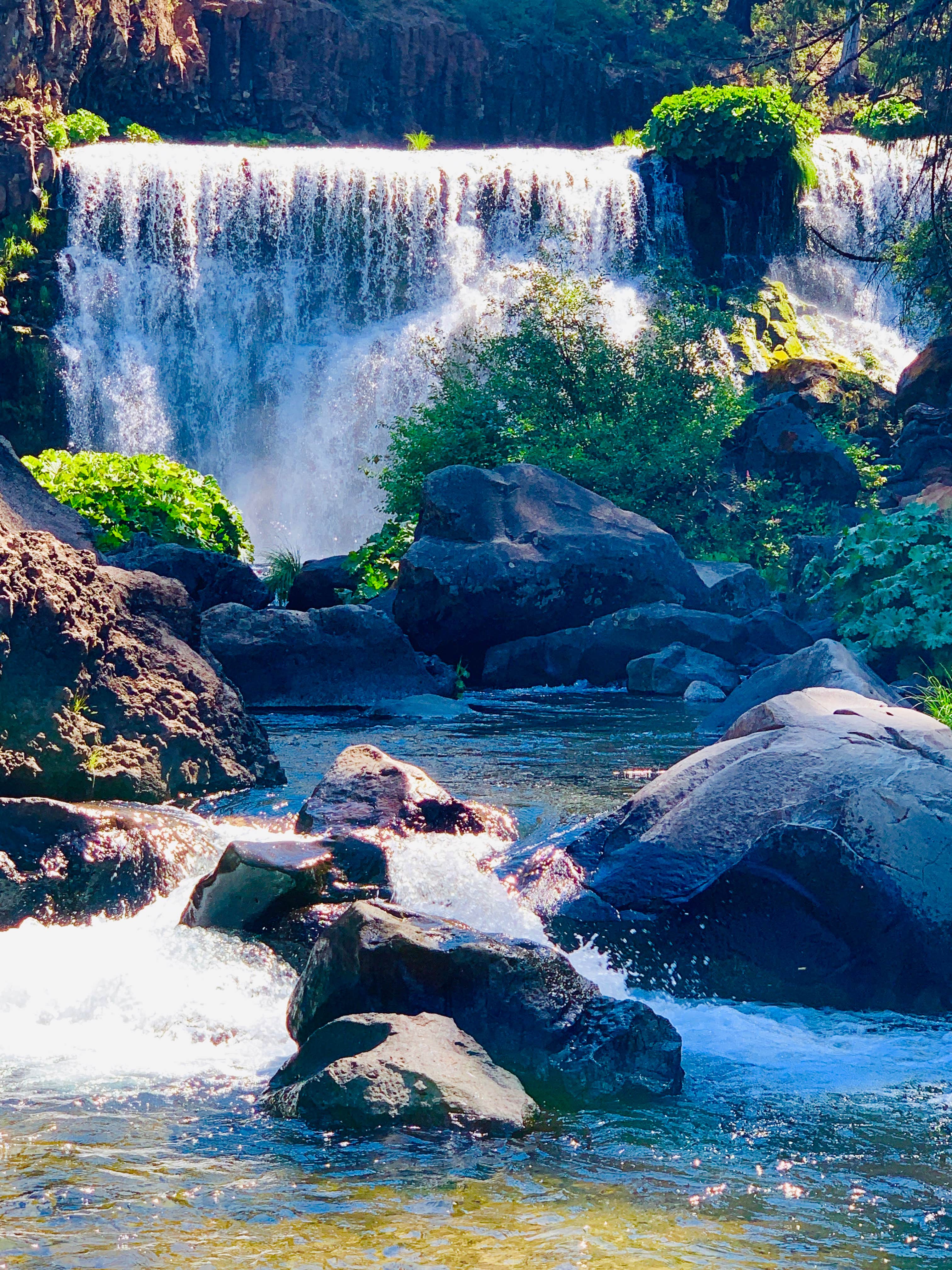 Camper-submitted photo at Cattle Camp Campground near Montague, CA