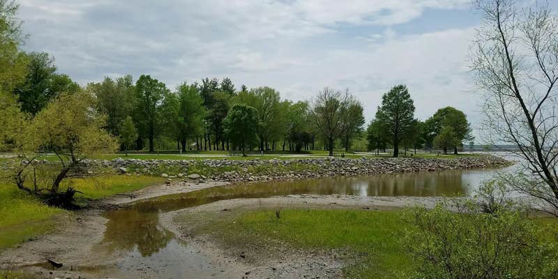 Camper submitted image from Coles Creek Recreation Area