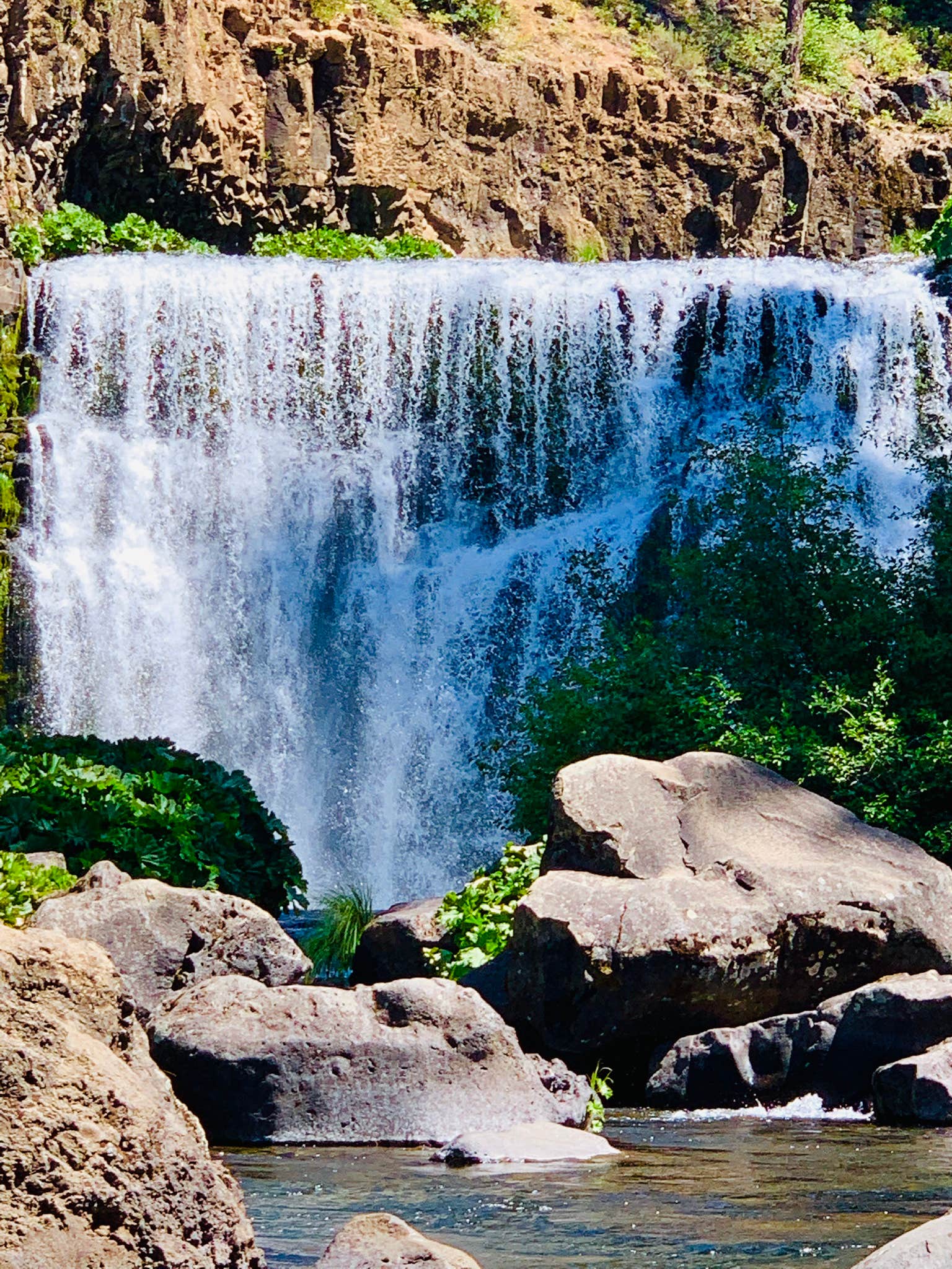 Camper-submitted photo at Cattle Camp Campground near Montague, CA