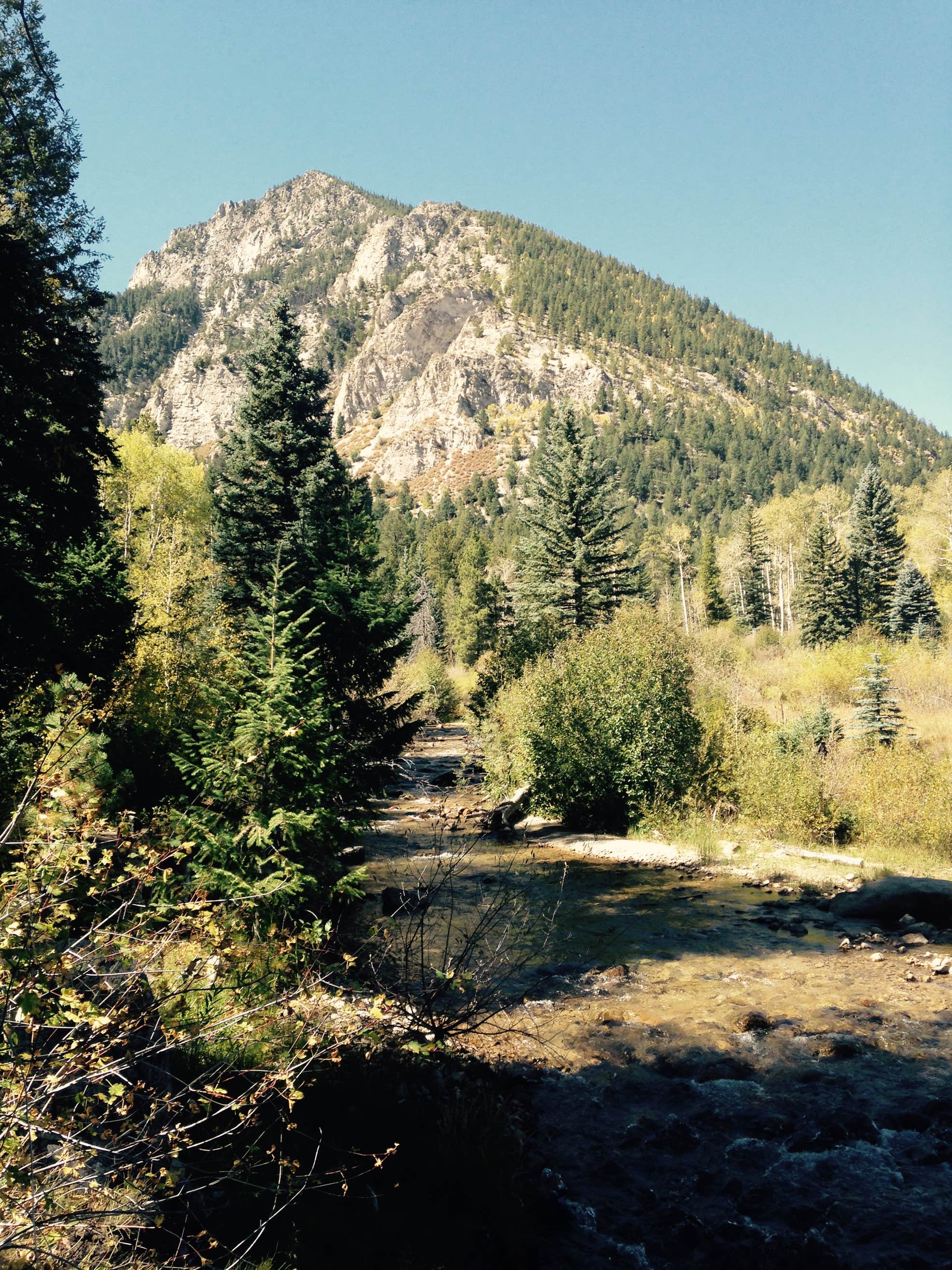 Cottonwood Lake Campground The Dyrt