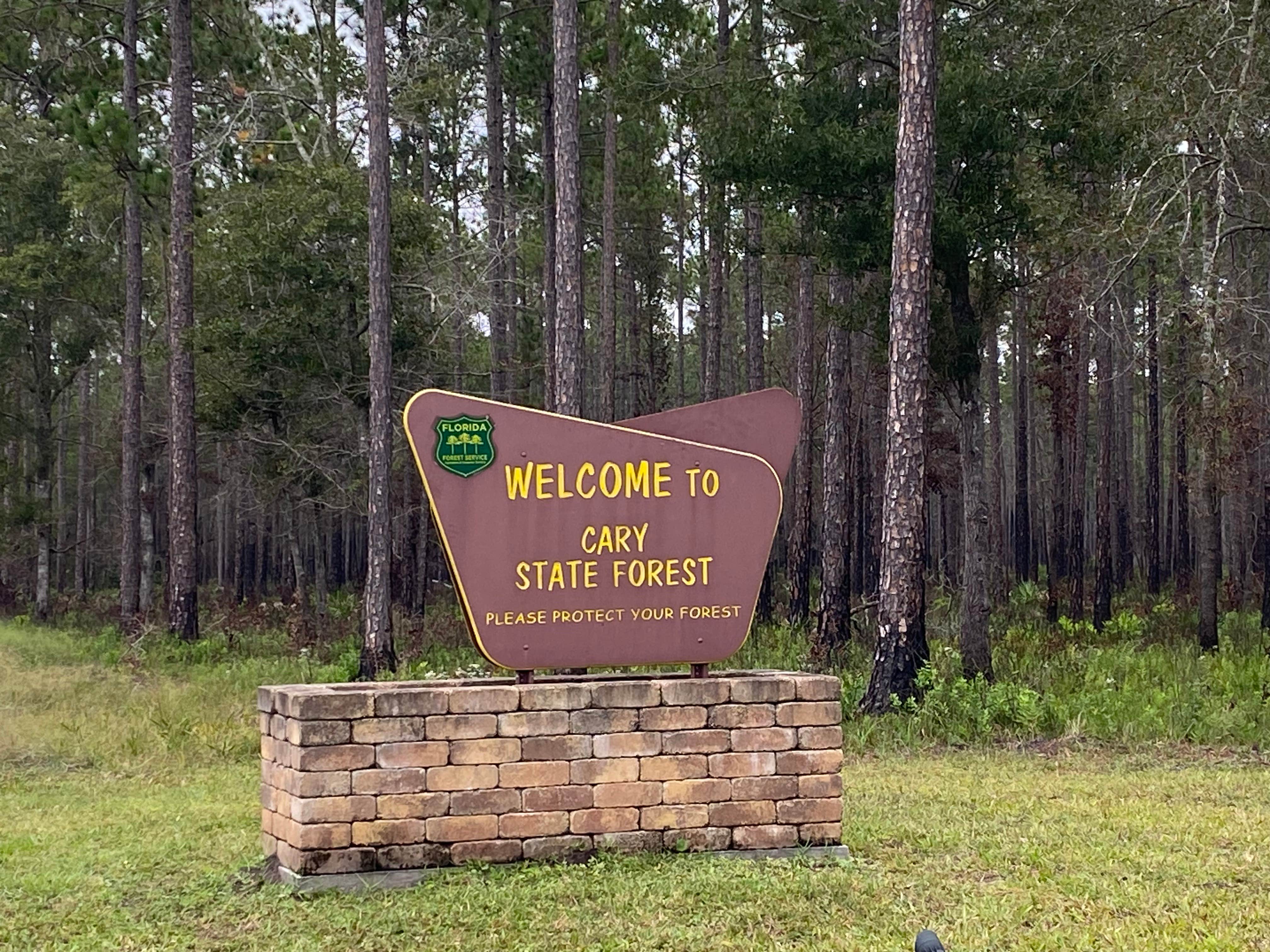 Camper submitted image from Cary State Forest Group Camp - 4