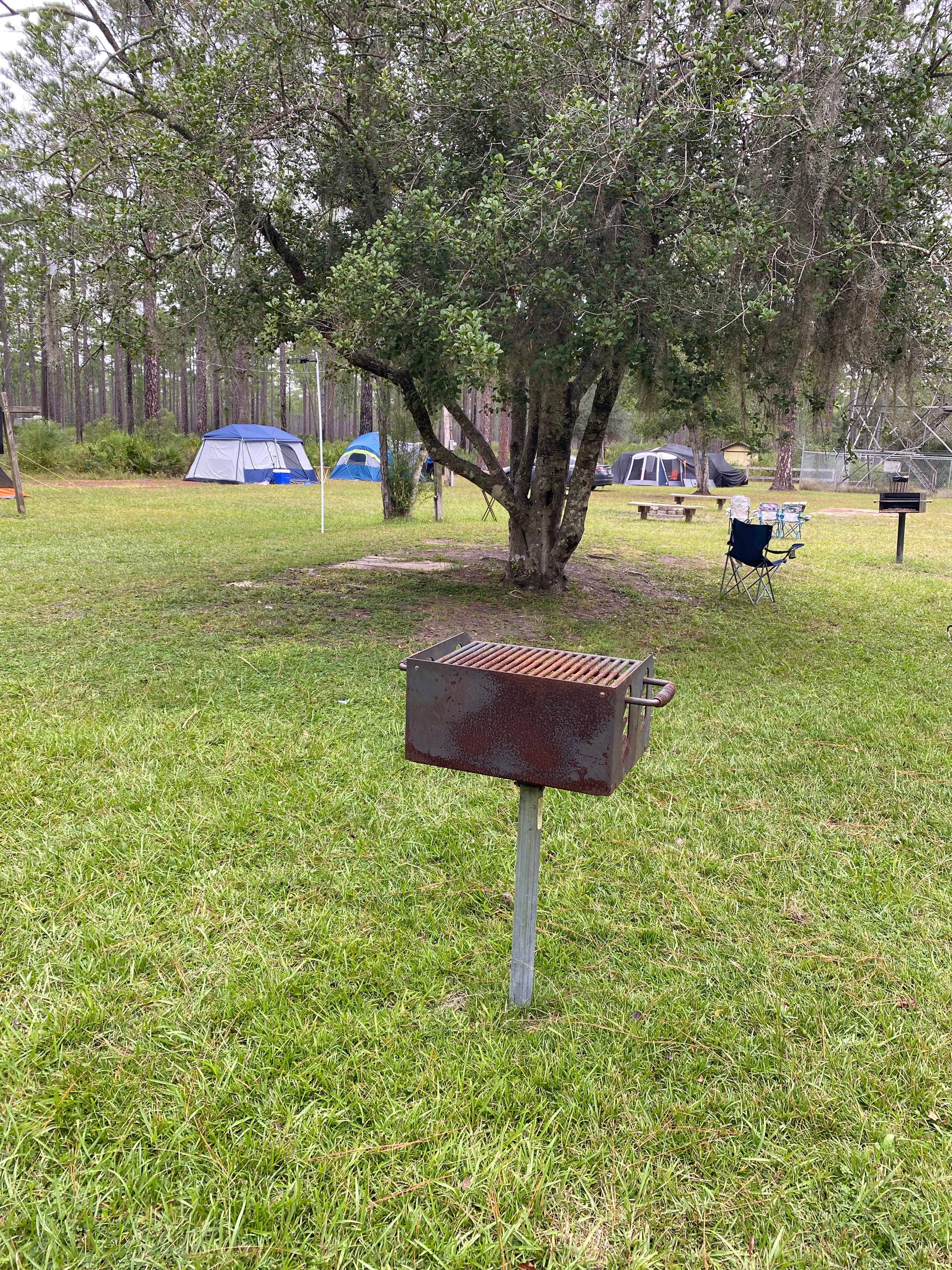 Camper submitted image from Cary State Forest Group Camp - 2