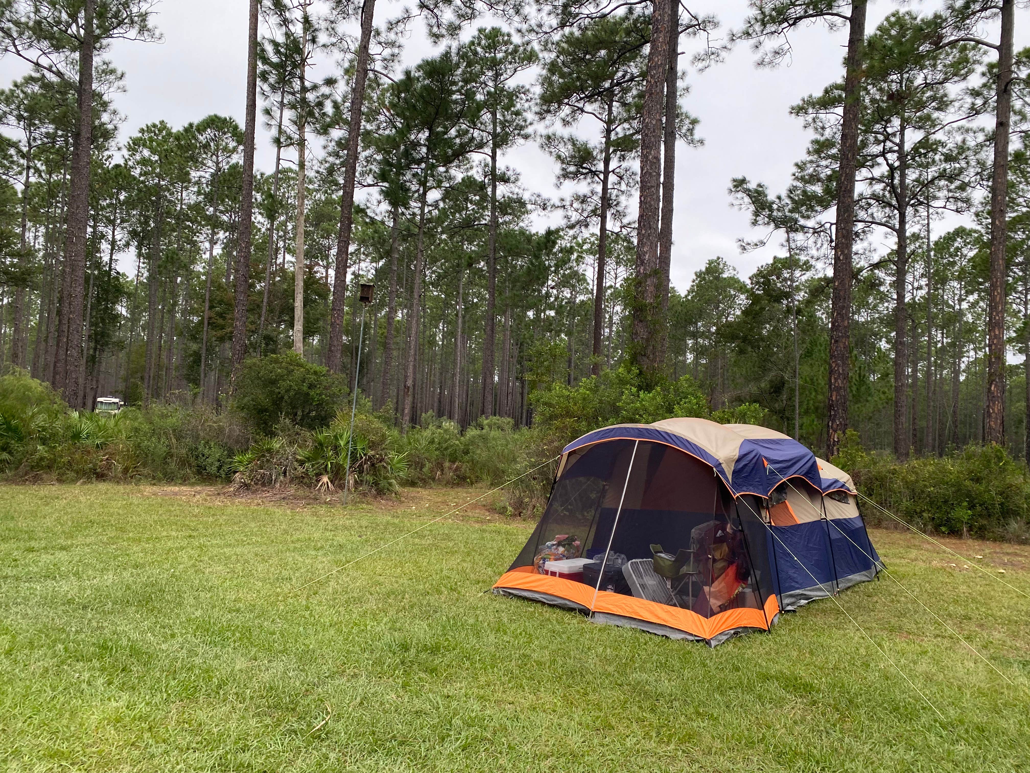 Camper-submitted photo at Cary State Forest Group Camp near Cumberland Island National Seashore