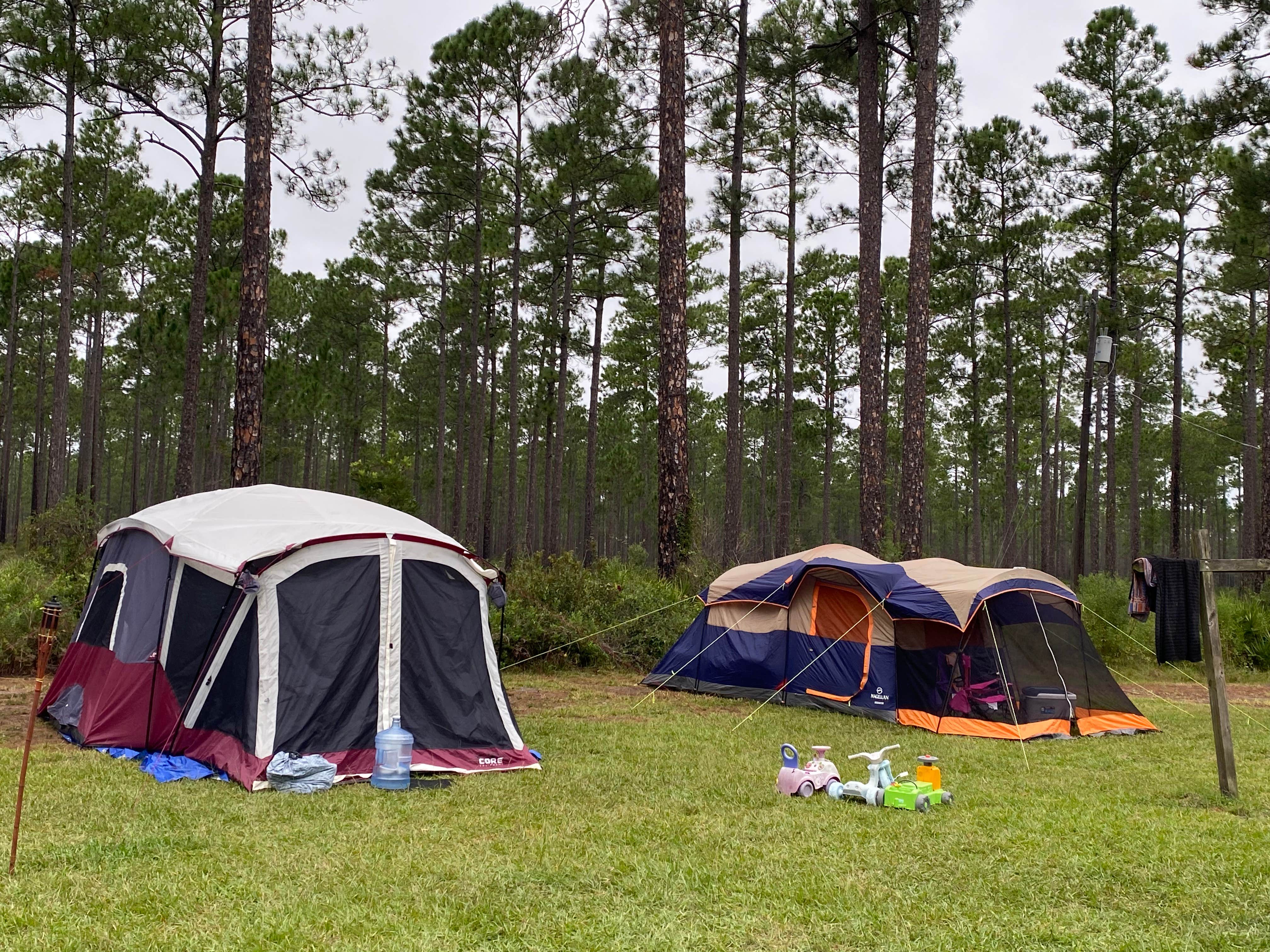 Stuart K.'s photo of tent camping at Cary State Forest Group Camp near Cumberland Island National Seashore