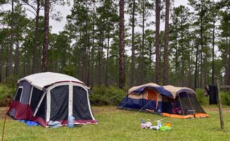 Stuart K.'s photo of tent camping at Cary State Forest Group Camp near Lake City, FL