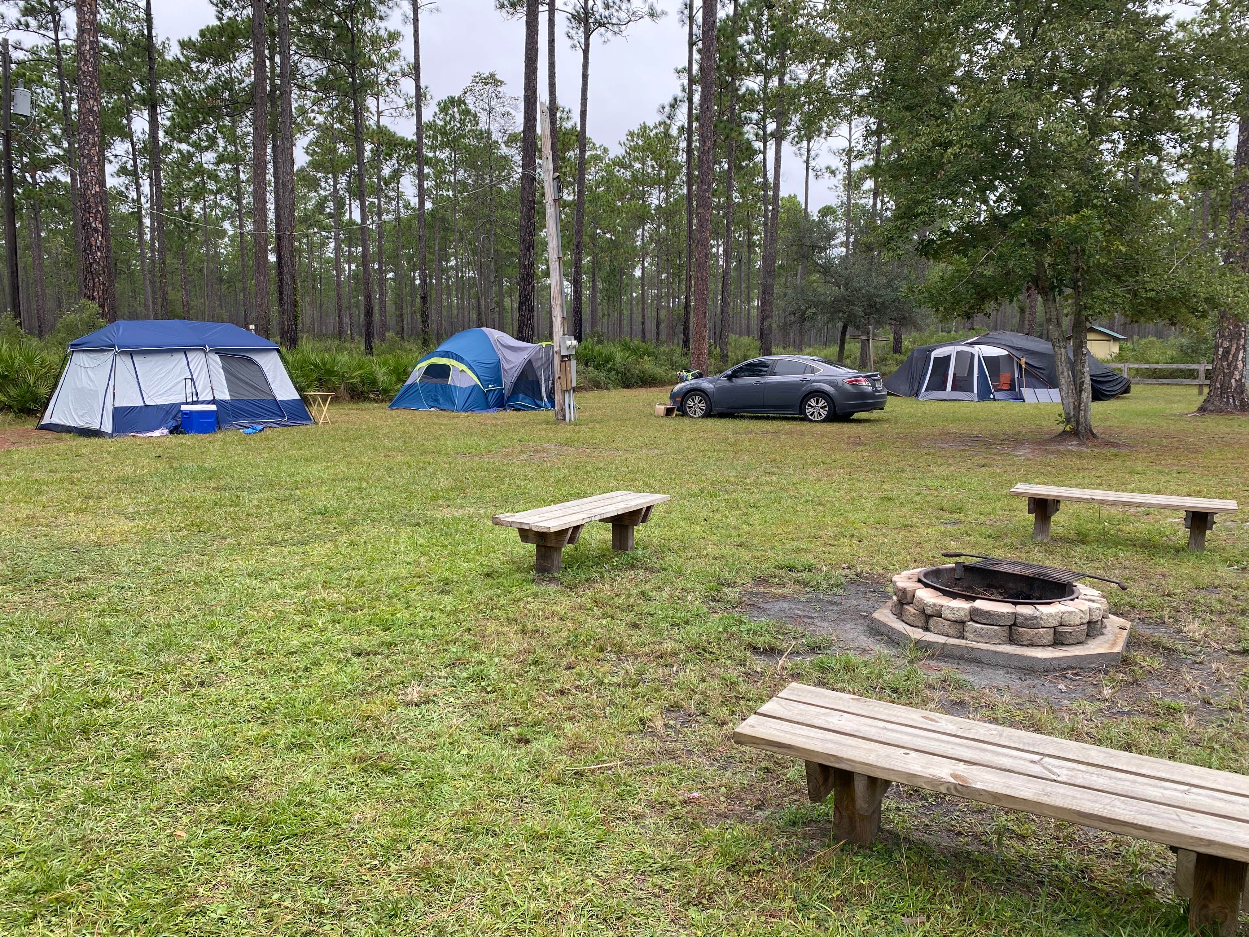 Camper submitted image from Cary State Forest Group Camp - 3