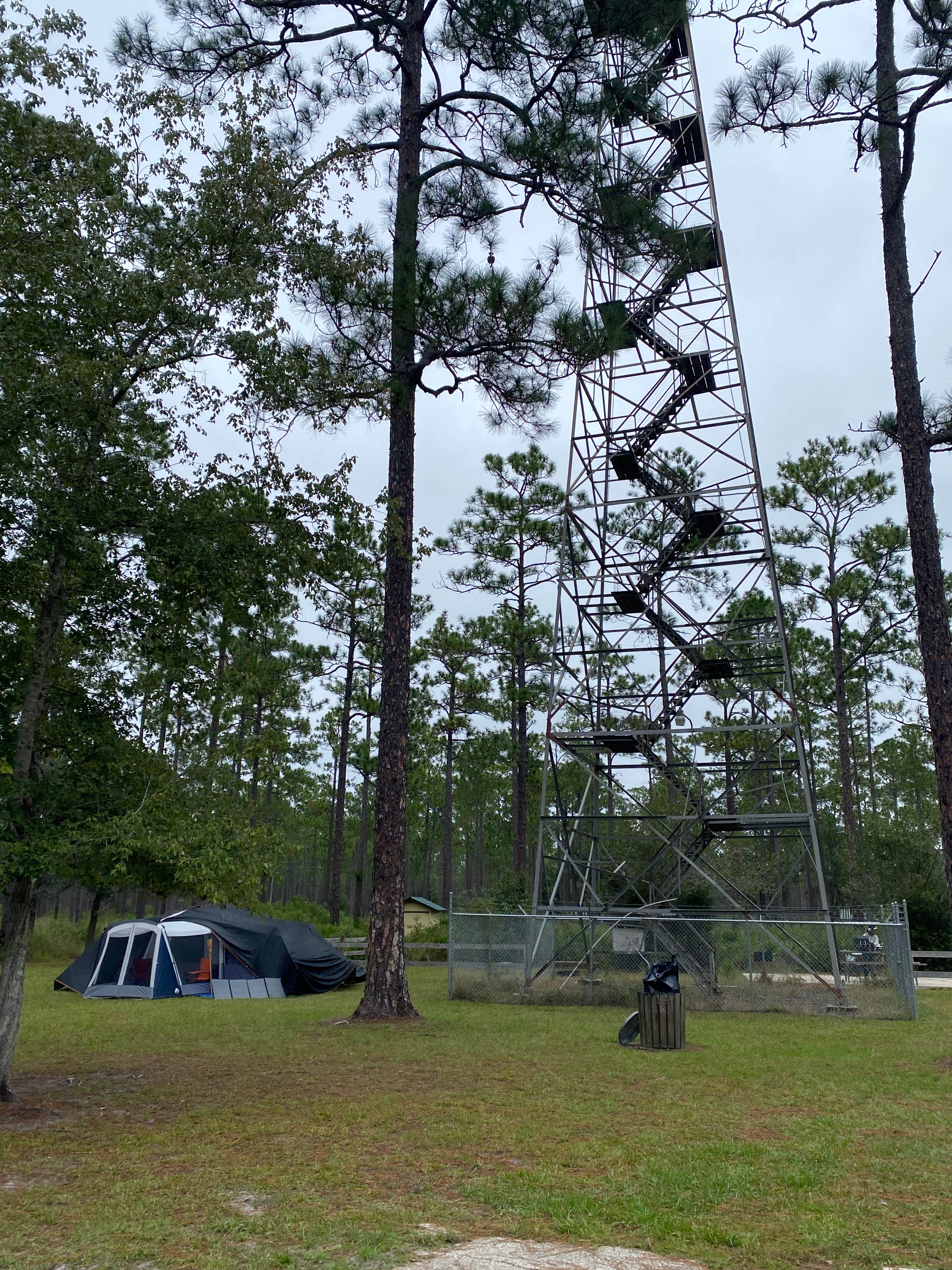 Camper-submitted photo at Cary State Forest Group Camp near Bryceville, FL