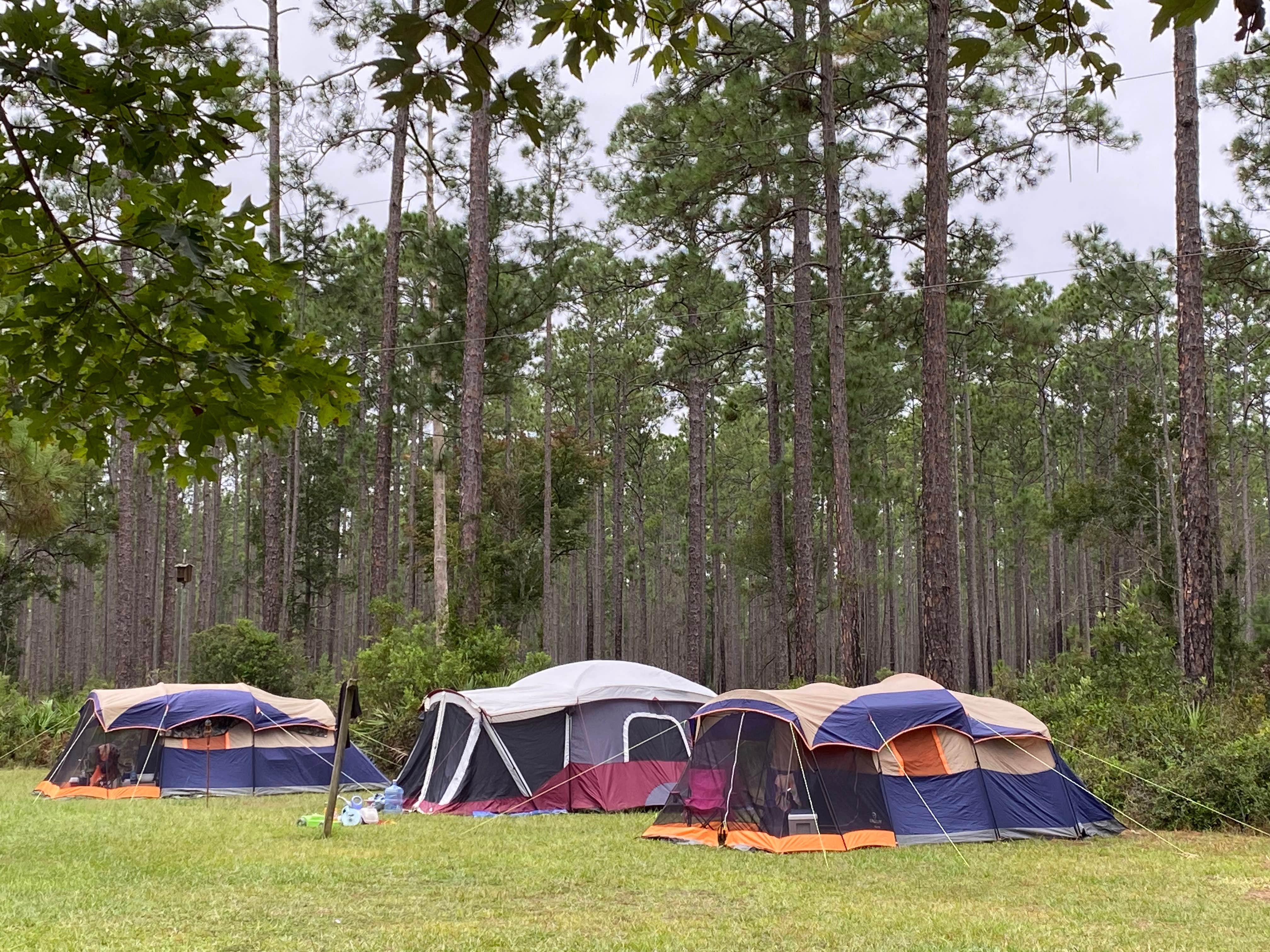 Camper-submitted photo at Cary State Forest Group Camp near Cumberland Island National Seashore