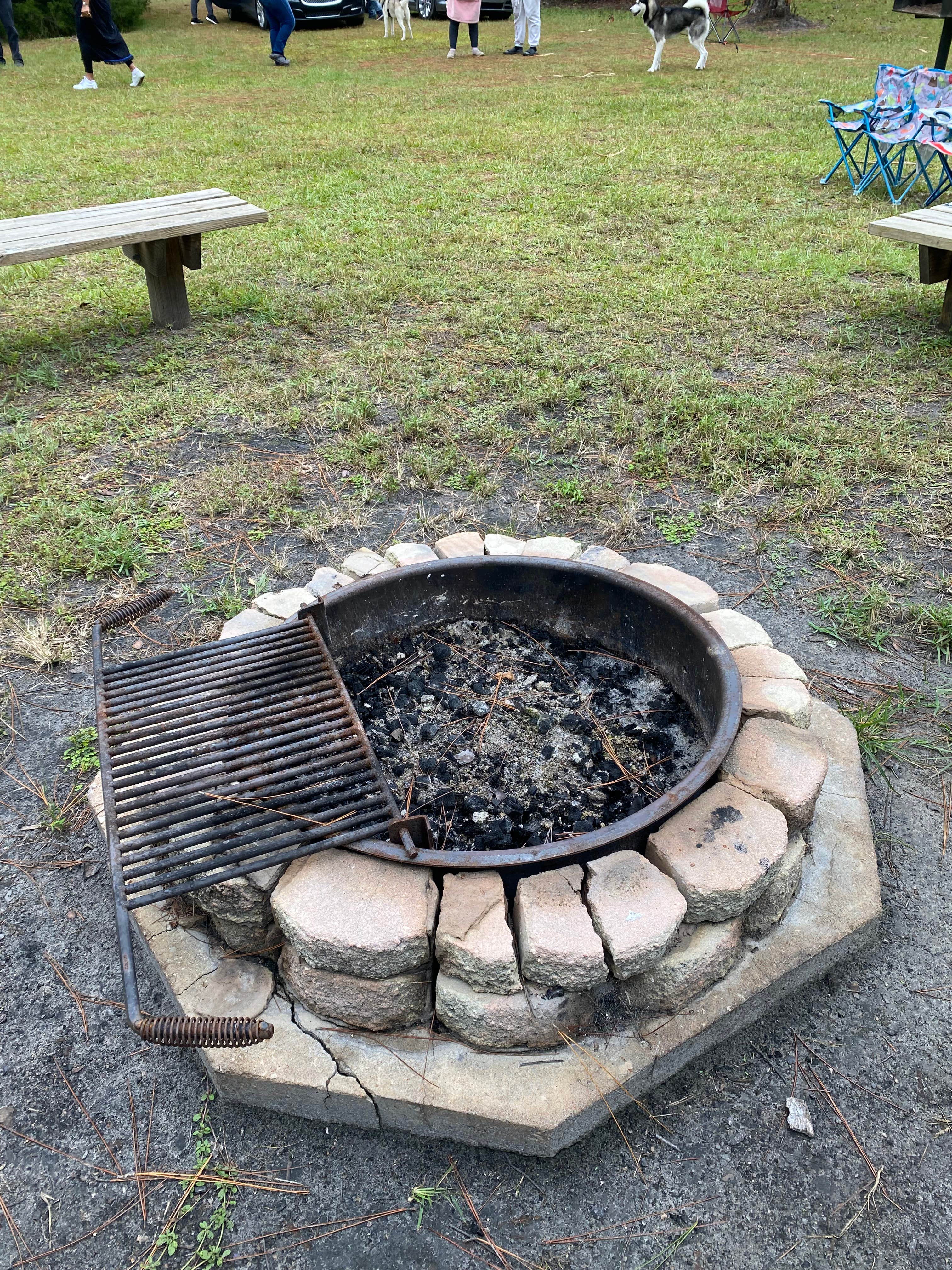 Stuart K.'s photo of camping with pets at Cary State Forest Group Camp near Fleming Island, FL