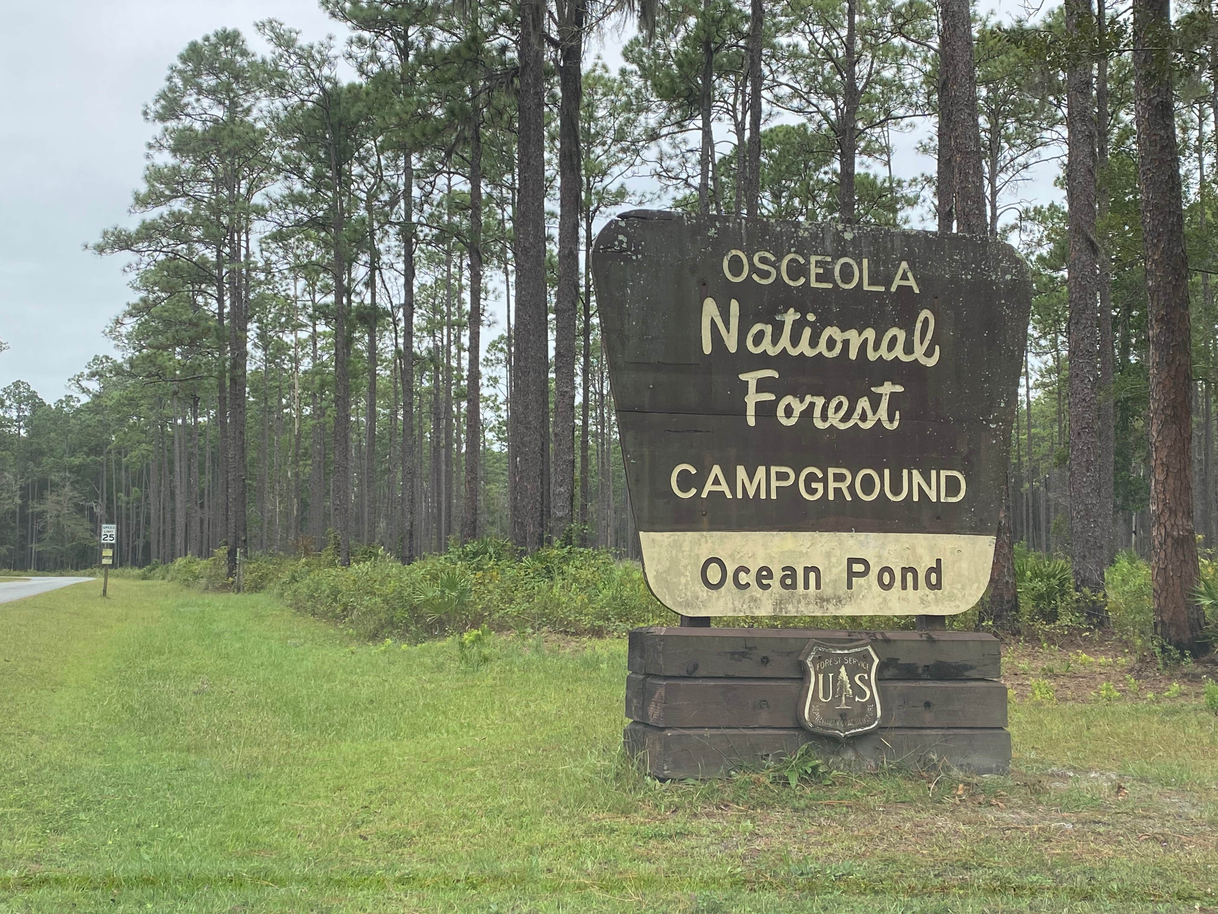 Camper submitted image from Osceola National Forest Ocean Pond Campground - 4