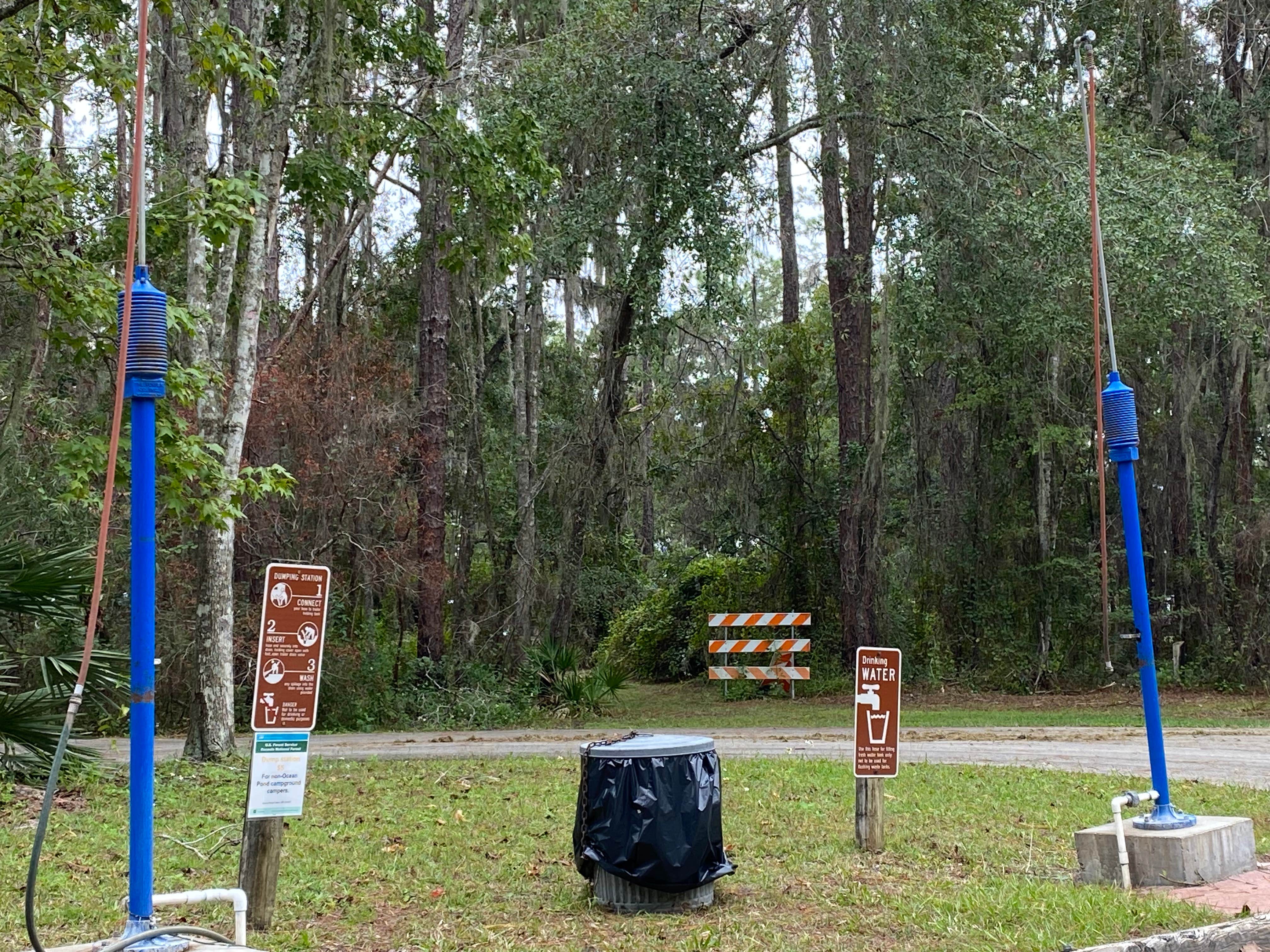 Camper-submitted photo at Osceola National Forest Ocean Pond Campground near Olustee, FL