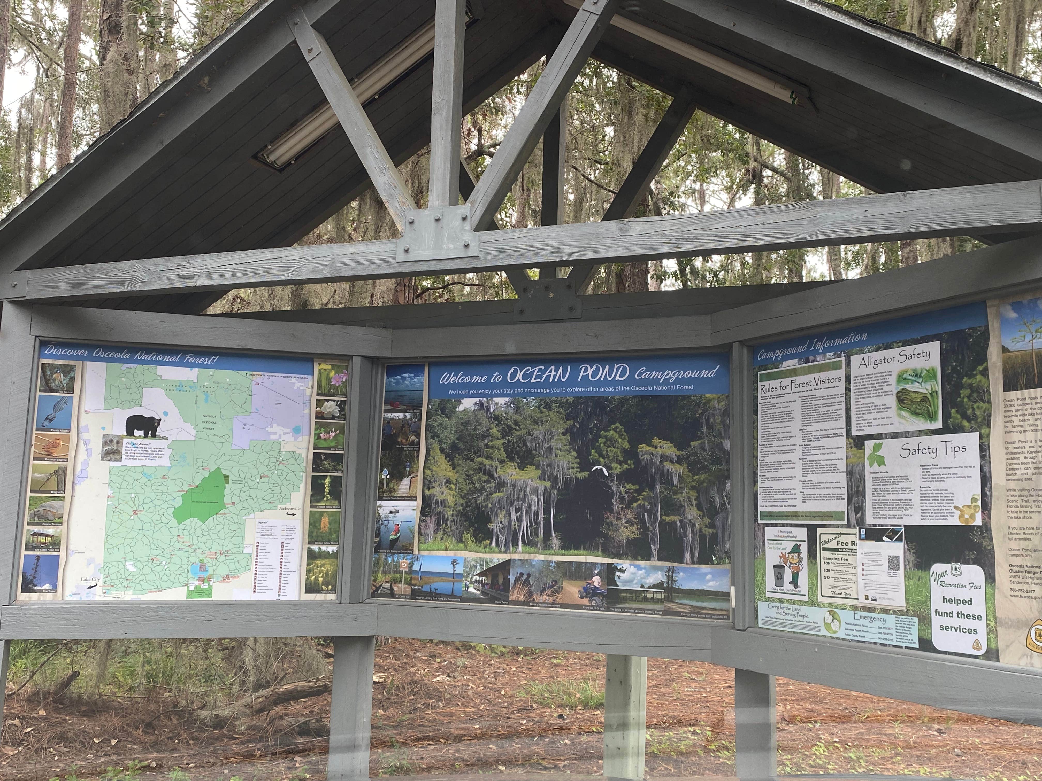 Camper submitted image from Osceola National Forest Ocean Pond Campground - 5