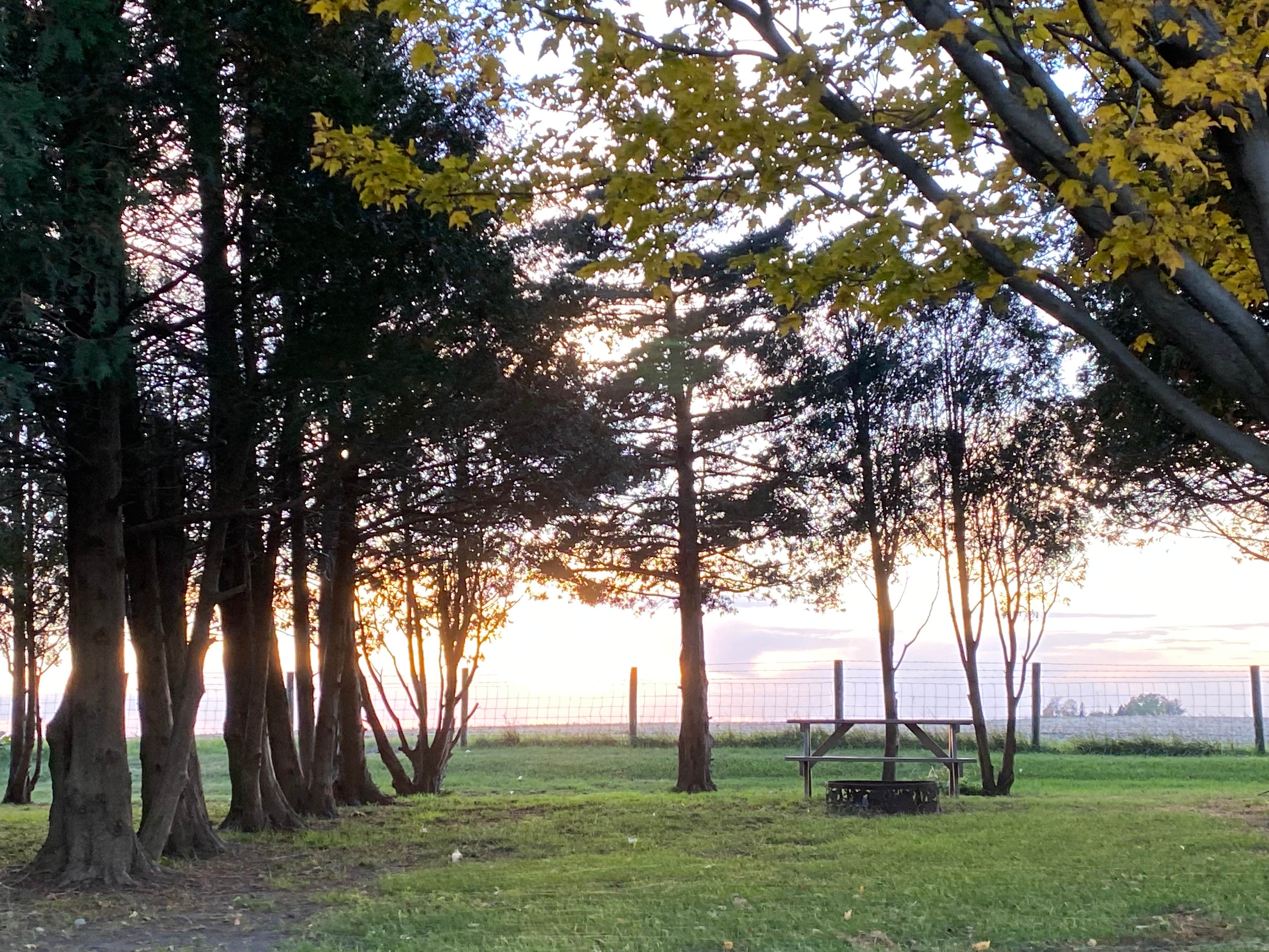 Camper-submitted photo at Little Bear Campground near Homestead, IA