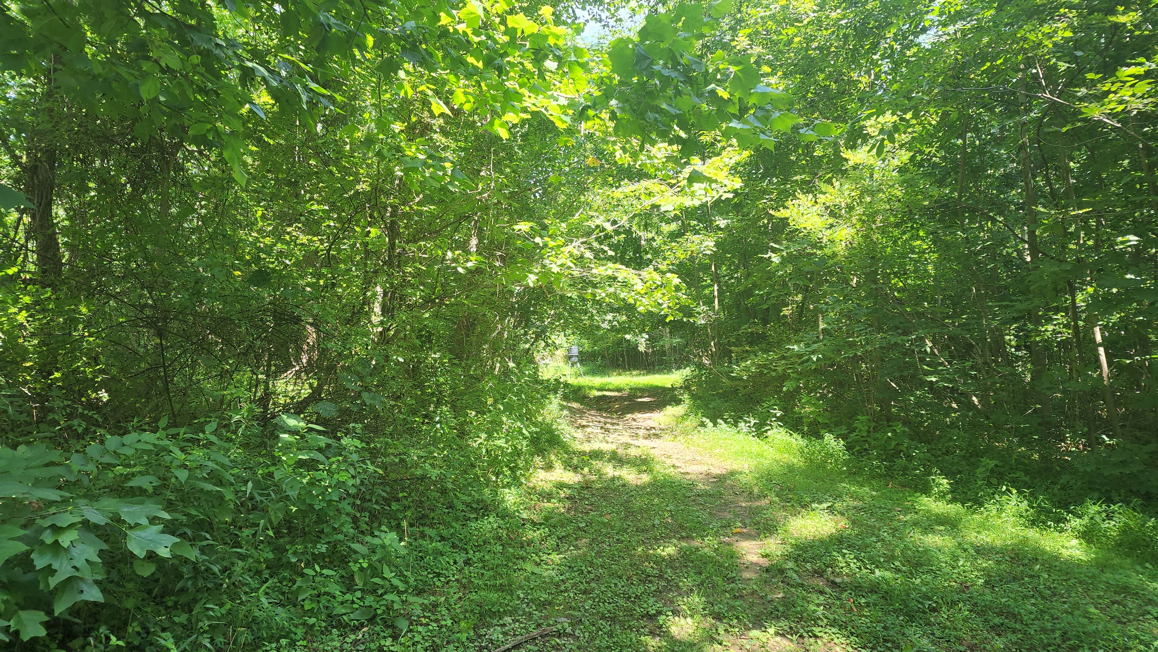 Camper-submitted photo at Trothwood Forest near Waverly, OH