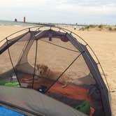 Review photo of Grand Haven State Park Campground by Kristen B., September 27, 2016