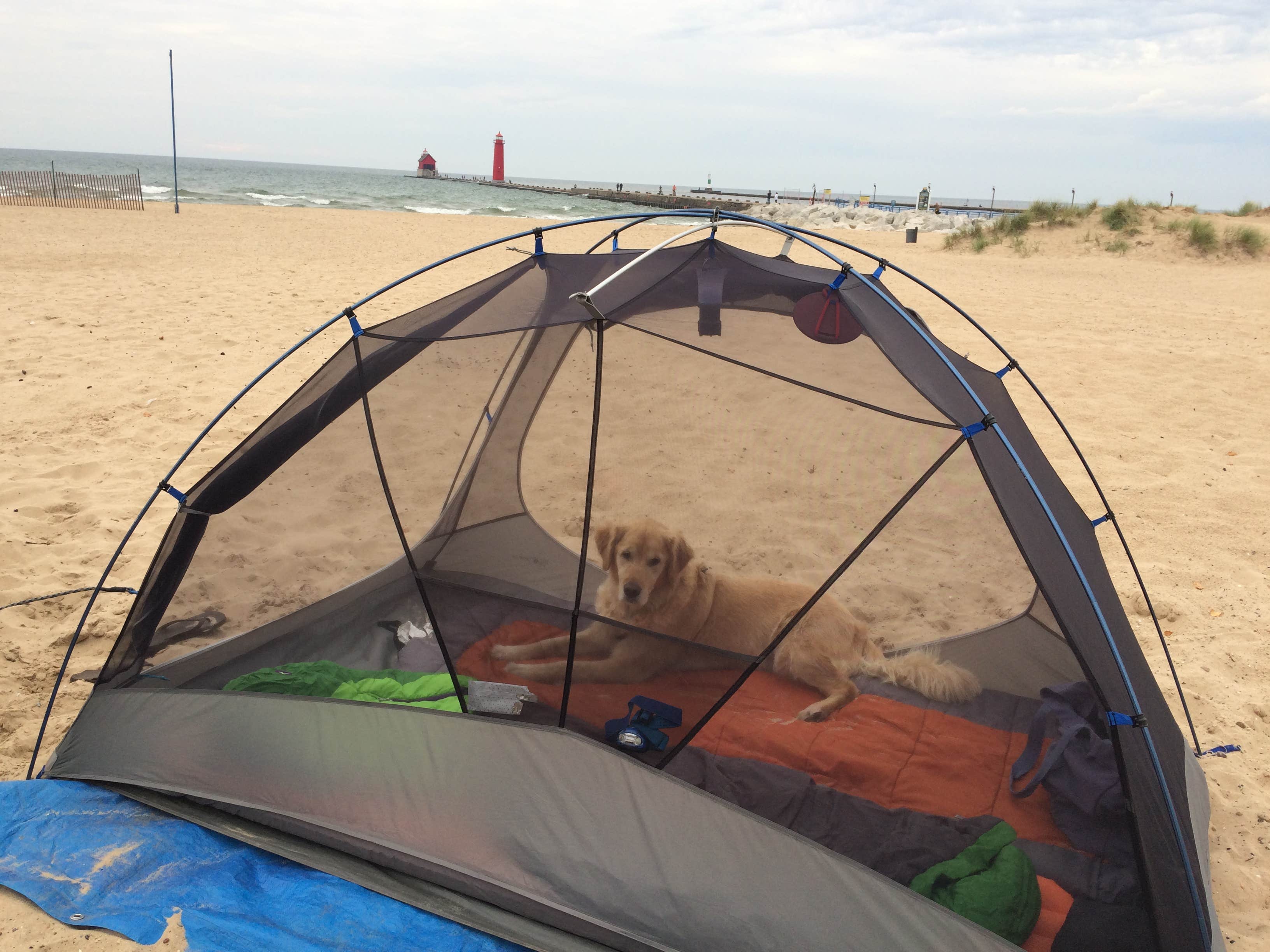 Camper submitted image from Grand Haven State Park Campground - 4
