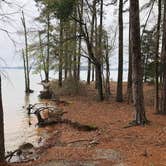 Review photo of Dreher Island State Park Campground by Mary R., August 23, 2019