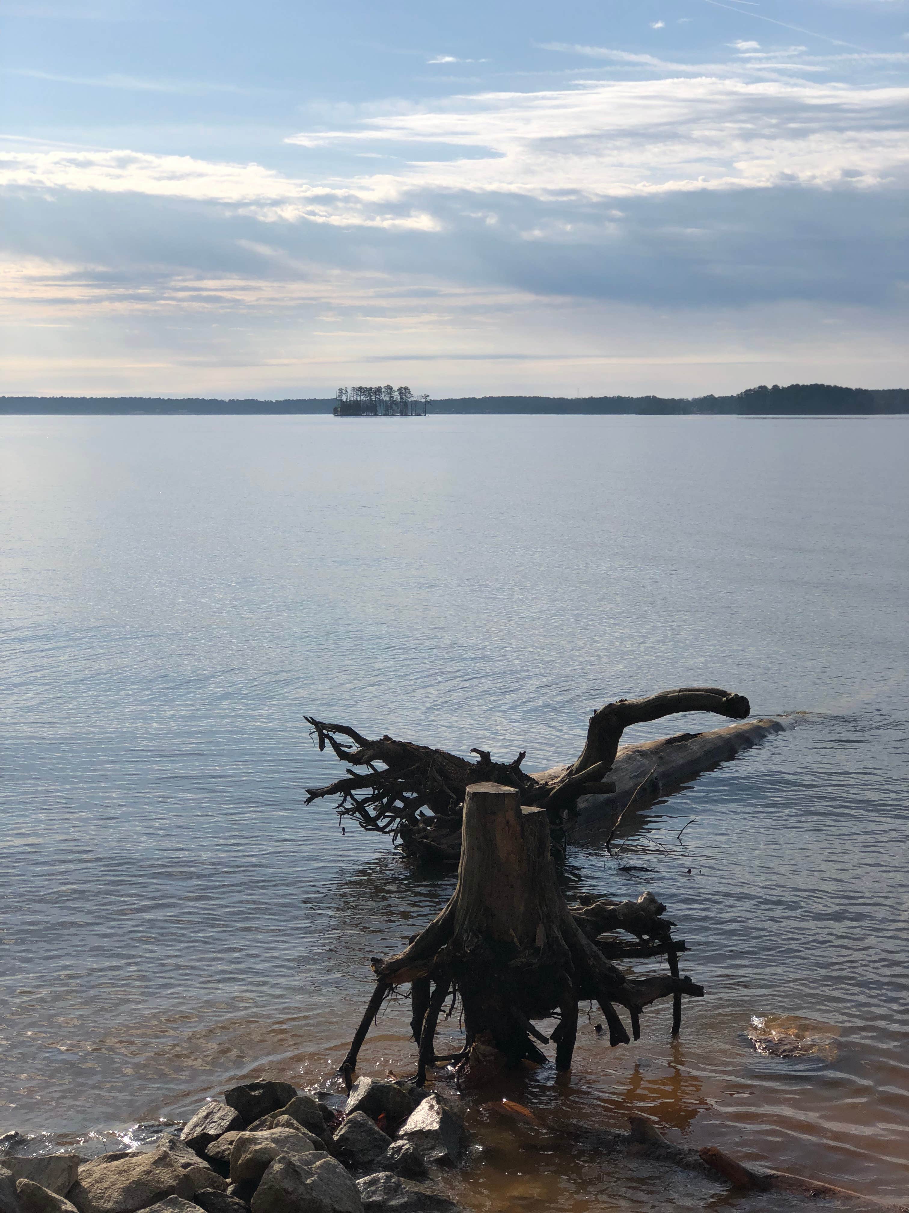 Camper-submitted photo at Dreher Island State Park Campground in South Carolina