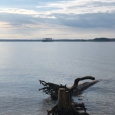 Review photo of Dreher Island State Park Campground by Mary R., August 23, 2019