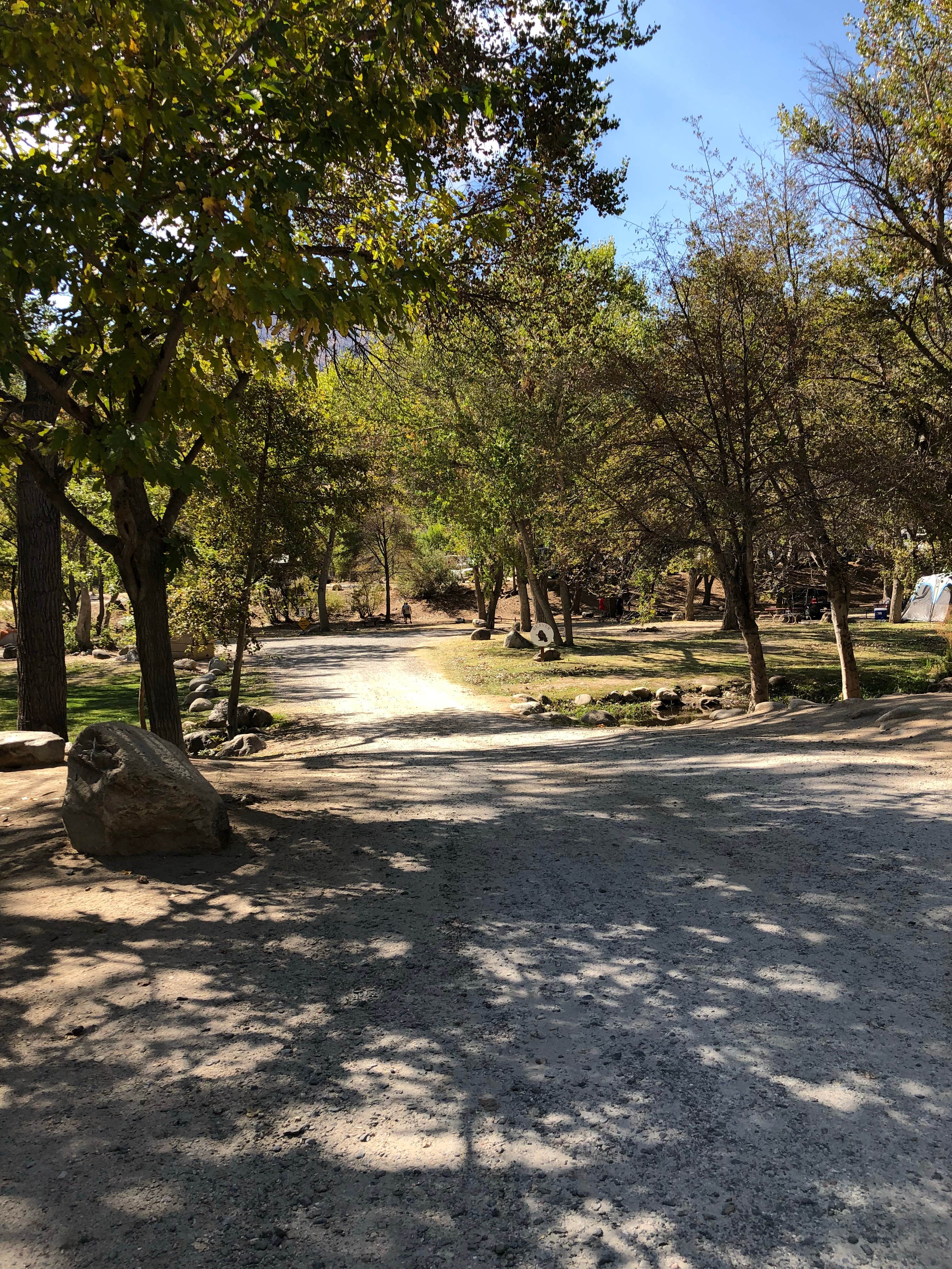 Shaded drive thru park