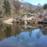 Review photo of Ant Canyon  by Jessica P., August 23, 2019