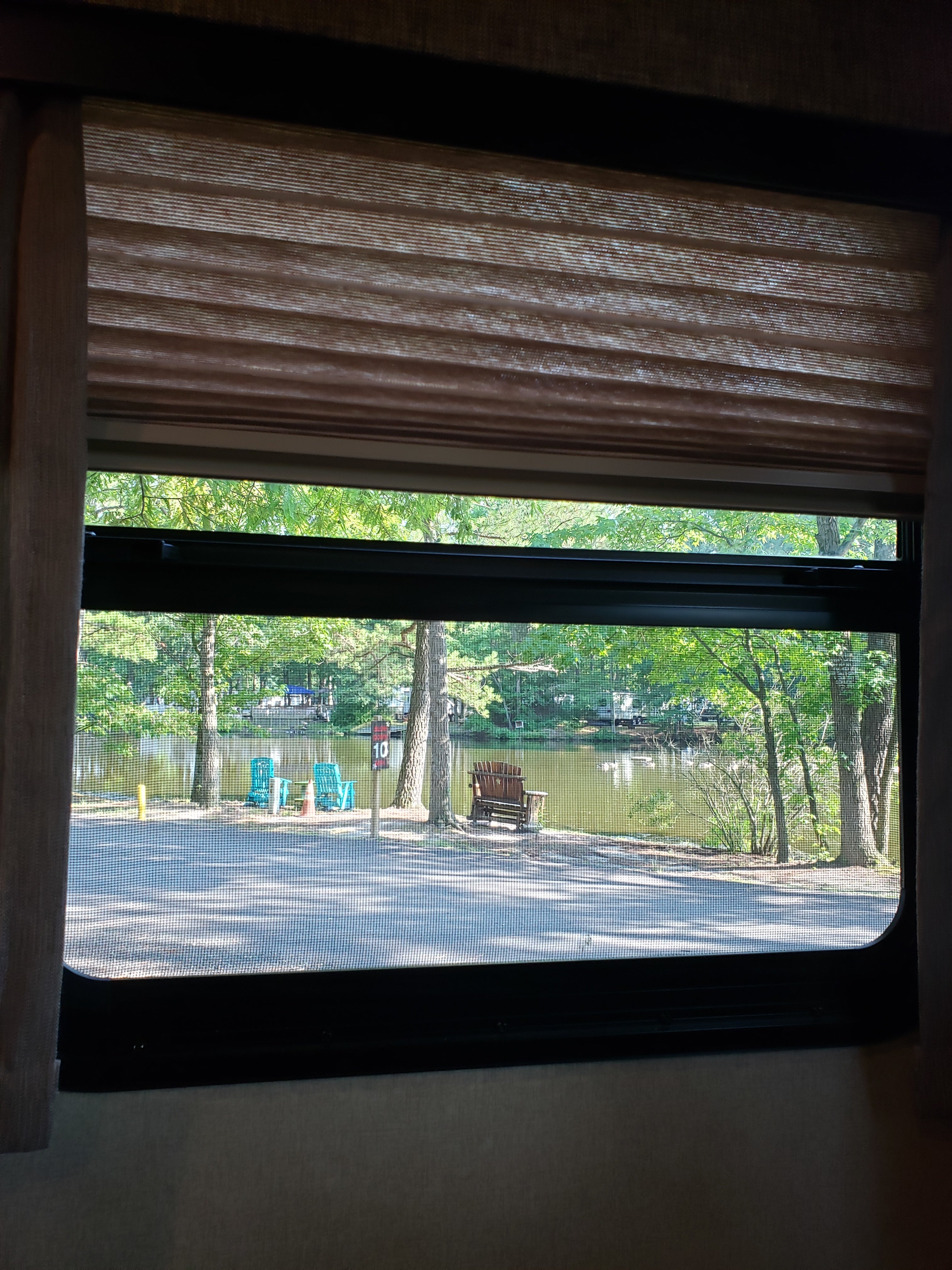 Side window view