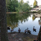 Review photo of Lake Somerset Campground by April L., August 23, 2019